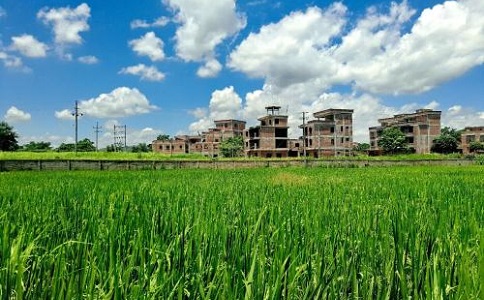 九一抖音免费版和生物九一抖音免费版发展前景